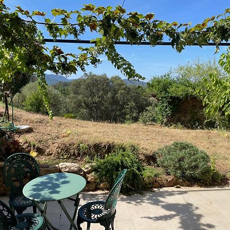 Cottage Les Marjoris Tanneron 外观 照片